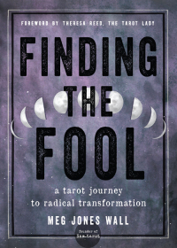 Immagine di copertina: Finding the Fool 9781578637874