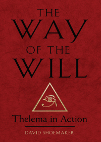 Cover image: The Way of the Will 9781578638260