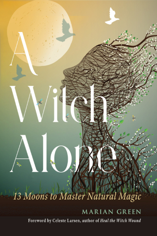 Imagen de portada: A Witch Alone 9781578638437