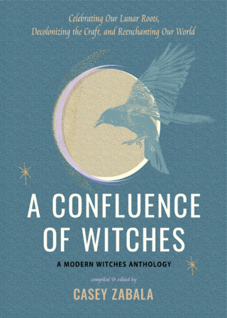 Imagen de portada: A Confluence of Witches 9781578638451