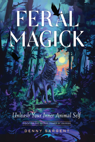 Cover image: Feral Magick 9781578638512