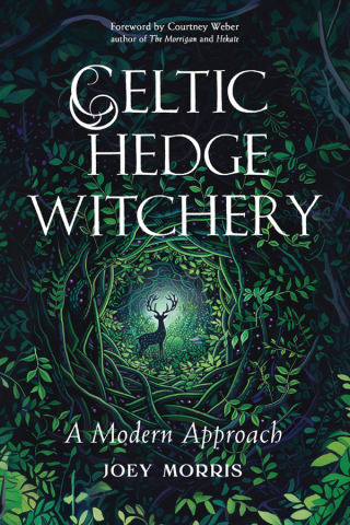 Cover image: Celtic Hedge Witchery—A Modern Approach 9781578638673