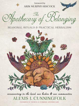 Cover image: The Apothecary of Belonging 9781578638826