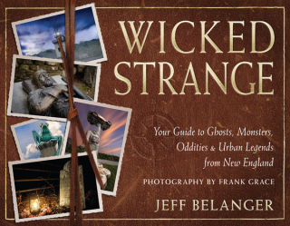 Cover image: Wicked Strange 9781637480212