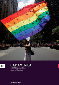 Cover image: Gay America: The Road to Gay Marriage and LGBT Rights 9781633530348