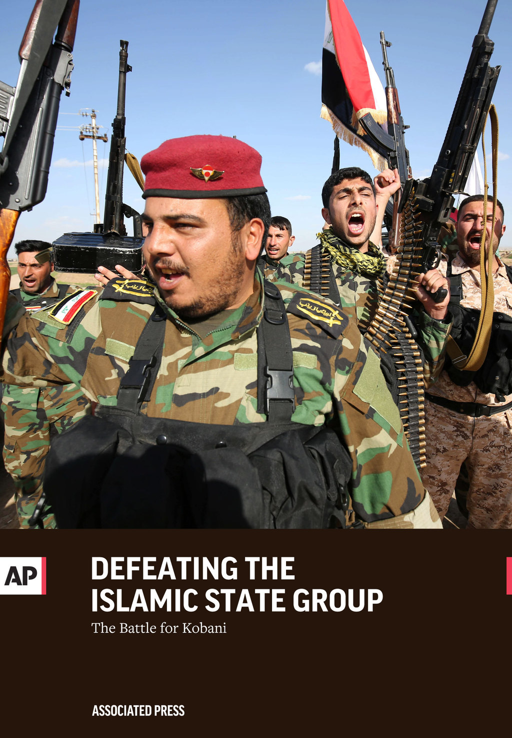 Defeating the Islamic State Group: The Battle for Kobani
