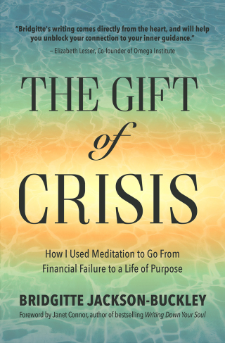 表紙画像: The Gift of Crisis 9781633537941