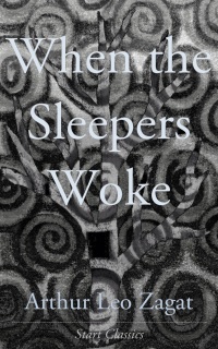 Cover image: When the Sleepers Woke