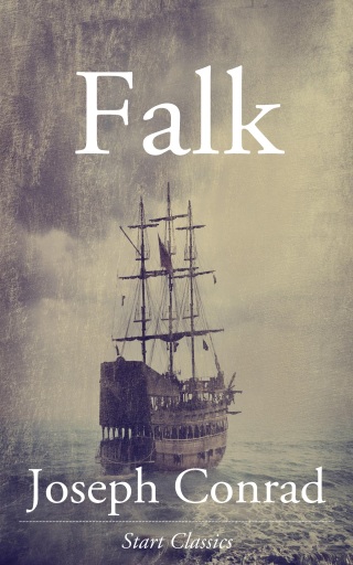 Cover image: Falk 9781520630748.0