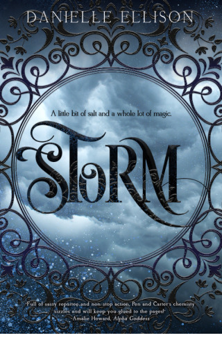 Cover image: Storm 9781633750739