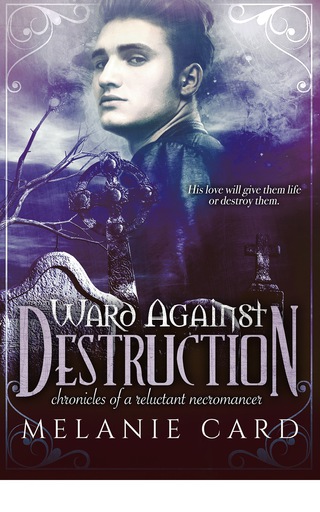 Cover image: Ward Against Destruction 9781633754522