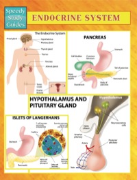 Cover image: Endocrine System Speedy Study Guides 9781633833630