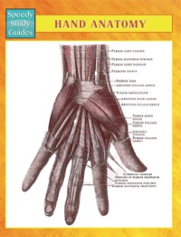 Titelbild: Hand Anatomy Speedy Study Guides 9781633833654
