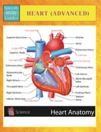 Cover image: Heart (Advanced) Speedy Study Guides 9781633833678