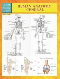 صورة الغلاف: Human Anatomy General Speedy Study Guides 9781633833692