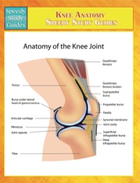 Cover image: Knee Anatomy Speedy Study Guides 9781633834033