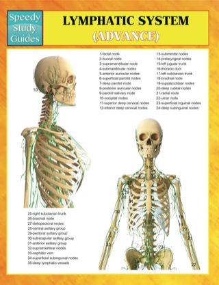 Imagen de portada: Lymphatic System (Advanced) Speedy Study Guides 9781633834057