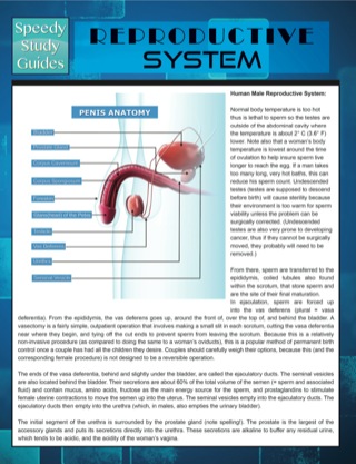 Cover image: Reproductive System (Speedy Study Guides) 9781633835863