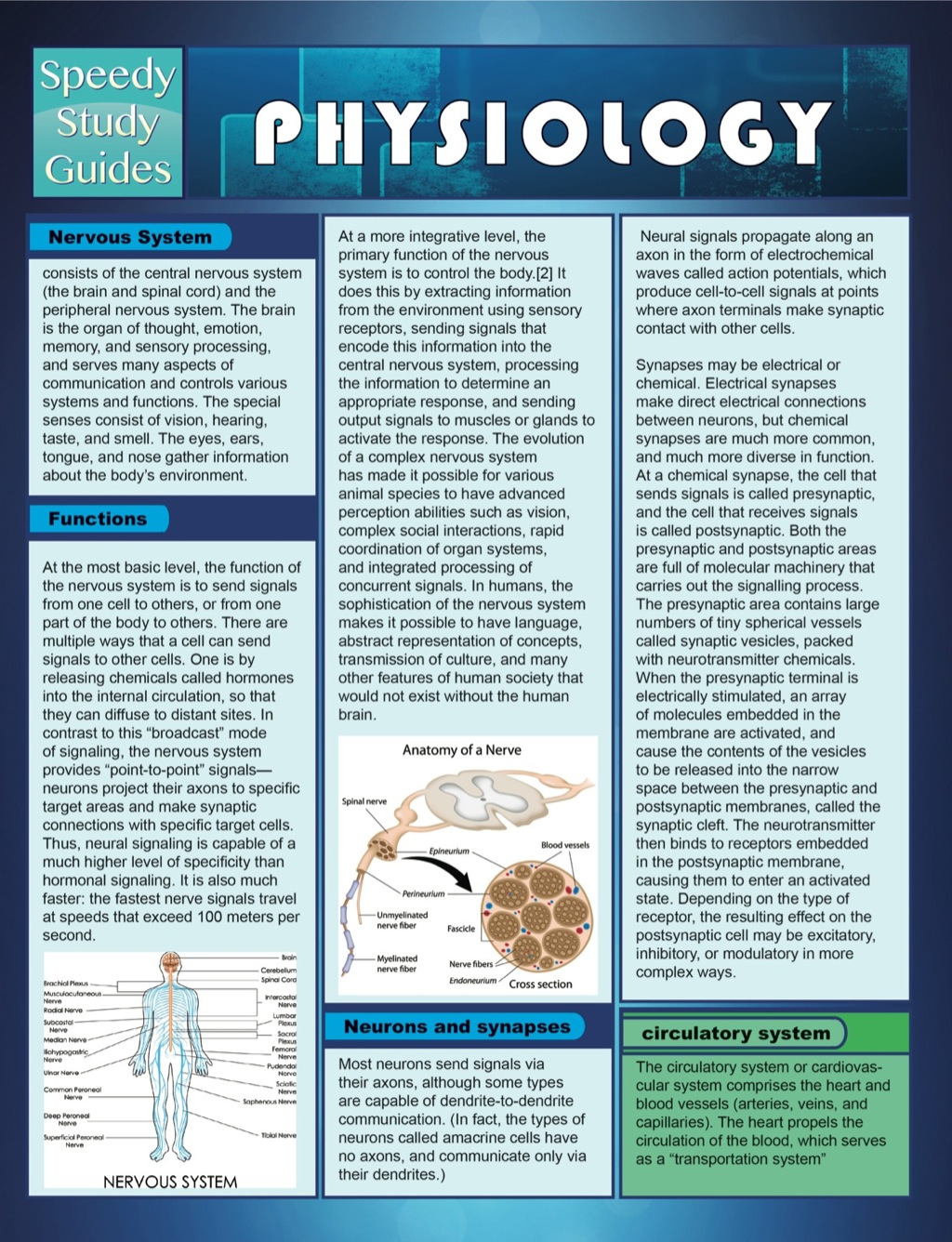 Physiology (Speedy Study Guide)