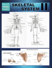 صورة الغلاف: Skeletal System II (Speedy Study Guides) 9781633835894