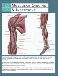 Imagen de portada: Muscular Origins & Insertions (Speedy Study Guides) 9781633835962