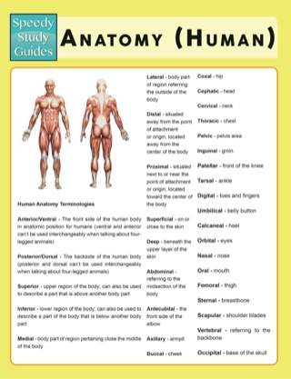 Imagen de portada: Anatomy (Human) (Speedy Study Guides) 9781633836129