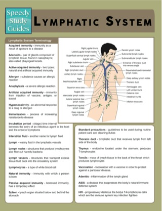 Cover image: Lymphatic System (Speedy Study Guides) 9781633836136