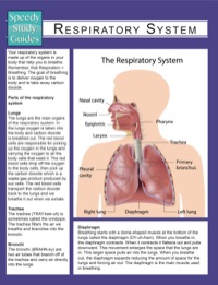 Imagen de portada: Respiratory System (Speedy Study Guides) 9781633836228