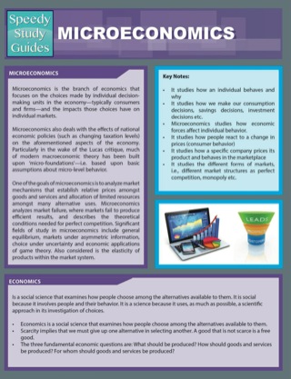 Cover image: Micro-Economics (Speedy Study Guides) 9781632879288