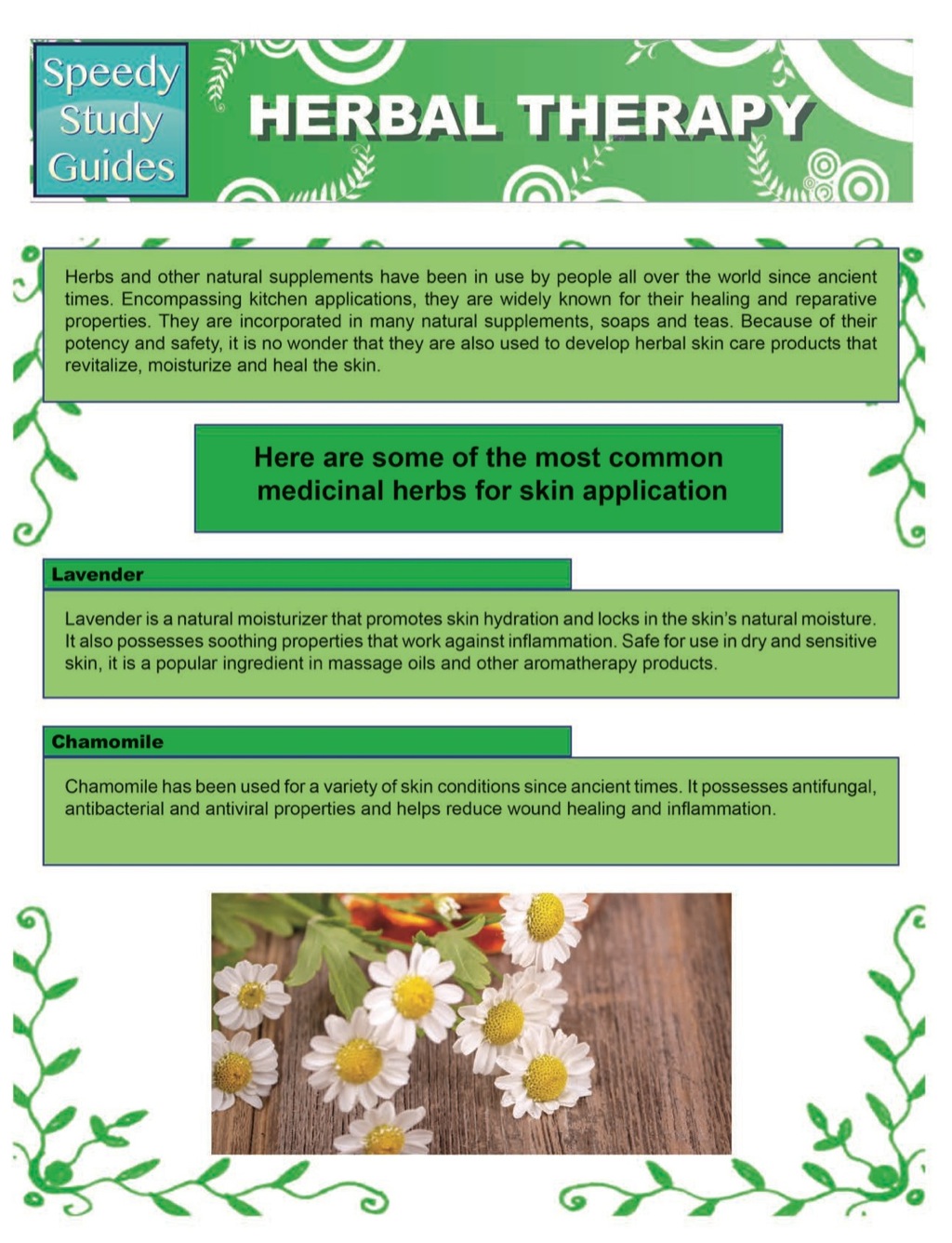 Herbal Therapy (Speedy Study Guides)