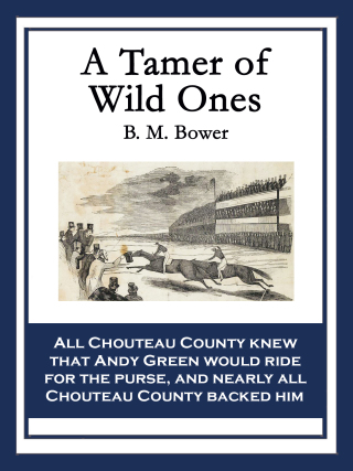 Cover image: A Tamer of Wild Ones 9781633840041