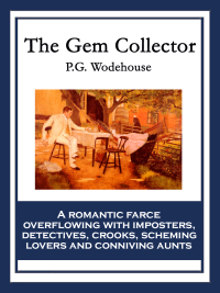 Cover image: The Gem Collector 9781604598247