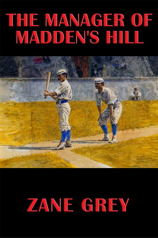 Cover image: The Manager of Madden's Hill 9781633840911