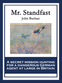 Cover image: Mr. Standfast 9781617206474