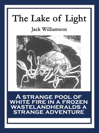 Cover image: The Lake of Light 9781633842687