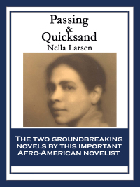 Titelbild: Passing & Quicksand 9781633845183