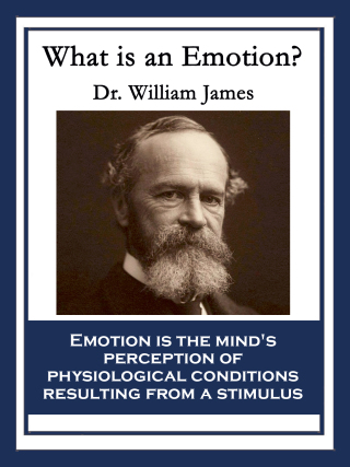 Imagen de portada: What Is an Emotion? 9781633845466