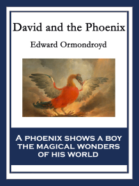 Omslagafbeelding: David and the Phoenix 9781604596915