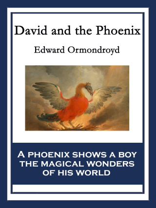 صورة الغلاف: David and the Phoenix 9781604596915