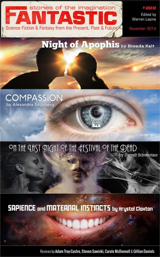 表紙画像: Fantastic Stories of the Imagination #222 9781633847408