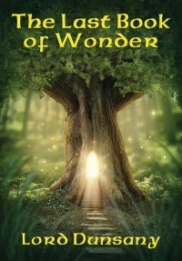 Omslagafbeelding: The Last Book of Wonder 9781633847323