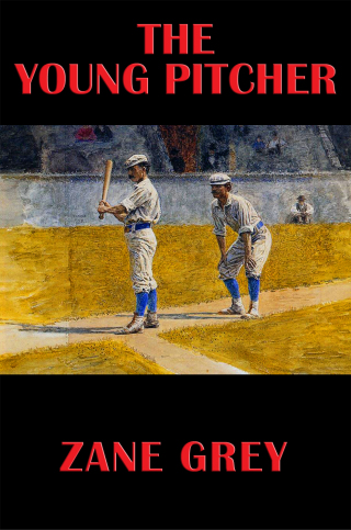 صورة الغلاف: The Young Pitcher 9781633848429