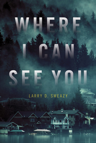 Cover image: Where I Can See You 9781633882119