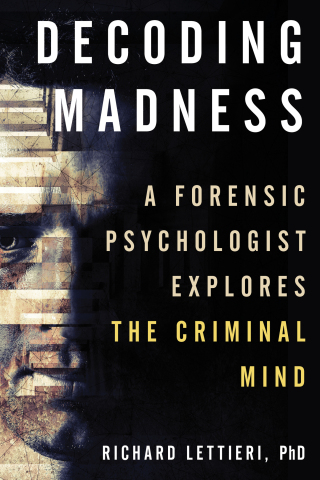 Cover image: Decoding Madness 9781633886926