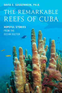 Cover image: The Remarkable Reefs Of Cuba 9781633887800