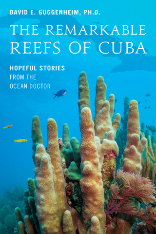 Titelbild: The Remarkable Reefs Of Cuba 9781633887800