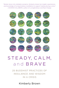 Cover image: Steady, Calm, and Brave 9781633888210