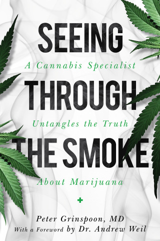 Cover image: Seeing through the Smoke 9781633888463
