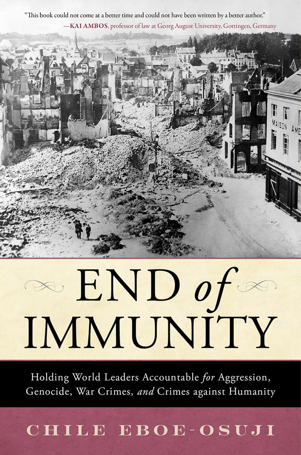 End of Immunity Holding World Leaders Accountable for Aggression, Genocide, War Crimes, and Crimes against Humanity