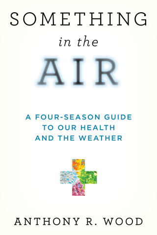 Cover image: Something in the Air 9781633889965